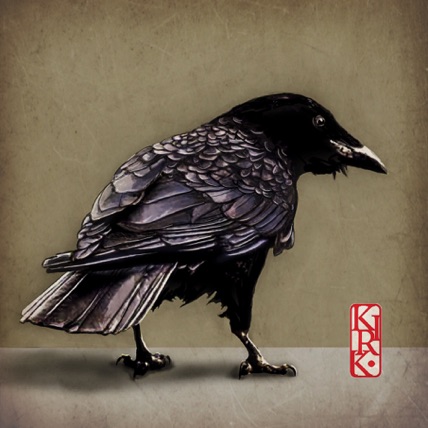 Raven
print